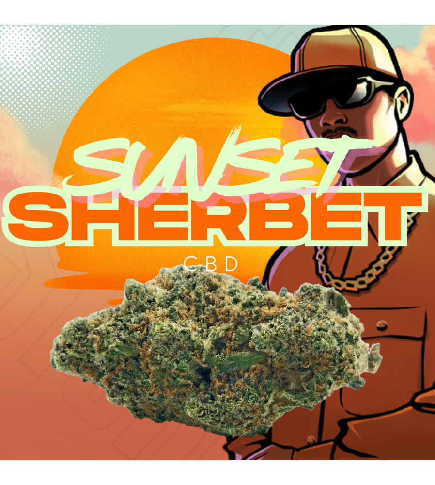 Sunset Sherbet CBD – Fleur premium indoor Pays-Bas | The Crazy Store