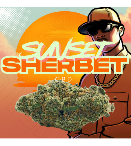 Sunset Sherbet CBD – Fleur premium indoor Pays-Bas | The Crazy Store