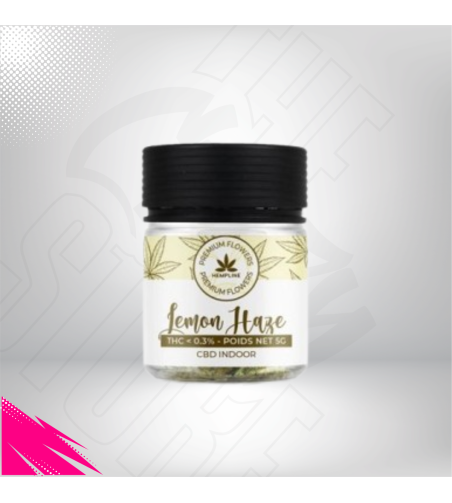 Lemon Haze - Fleur de CBD - Hempline 🍋🥦