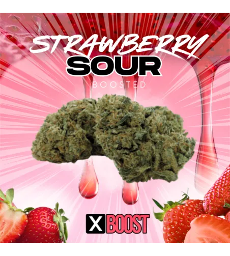 Strawberry Sour - XBoost 10% - Indoor Suisse