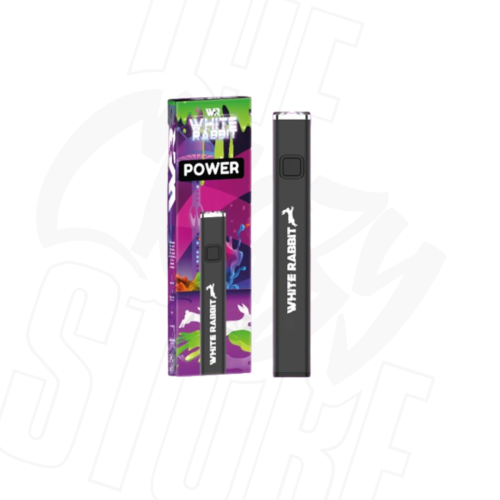 Batterie POWER E510 White Rabbit